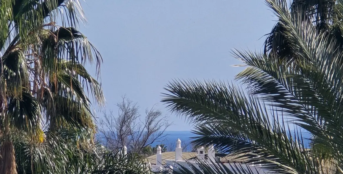 Sale of penthouse in Nueva Andalucía 7