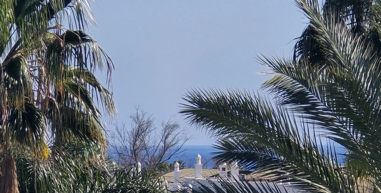 Sale of penthouse in Nueva Andalucía 7