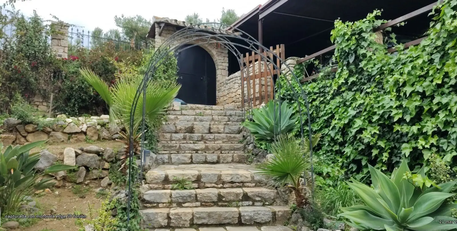 Sale of detached villa in Río Real 25