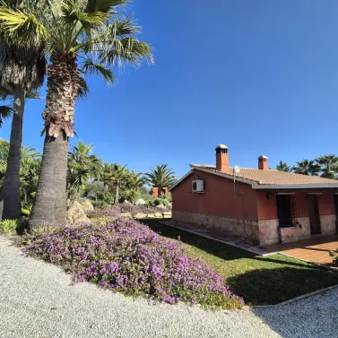 Venta de finca - cortijo en Alhaurín el Grande
