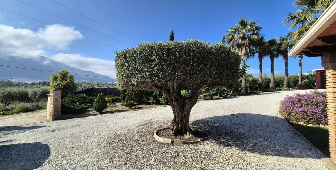 Venta de finca - cortijo en Alhaurín el Grande 29