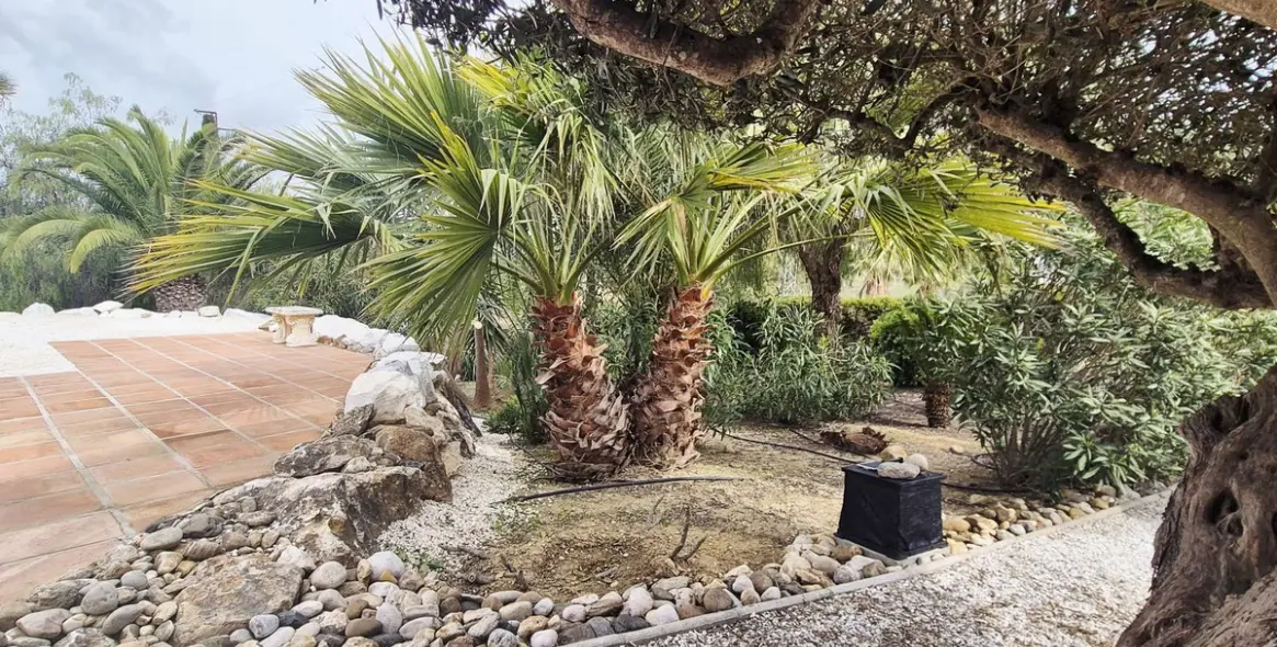 Venta de finca - cortijo en Alhaurín el Grande 46