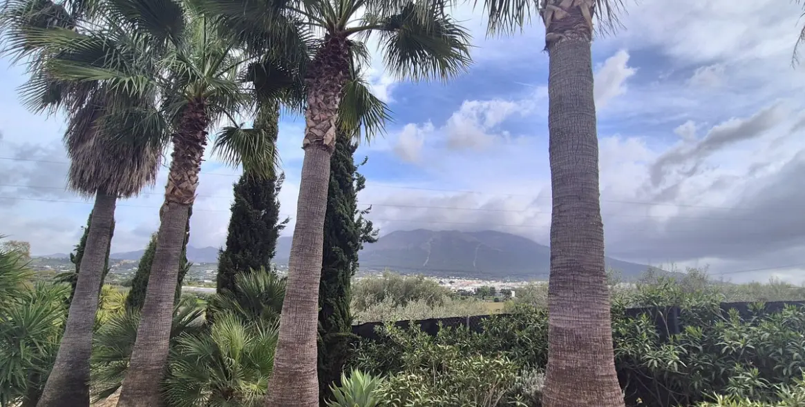 Venta de finca - cortijo en Alhaurín el Grande 51