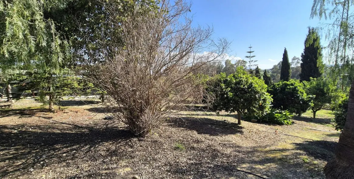 Venta de finca - cortijo en Alhaurín el Grande 52