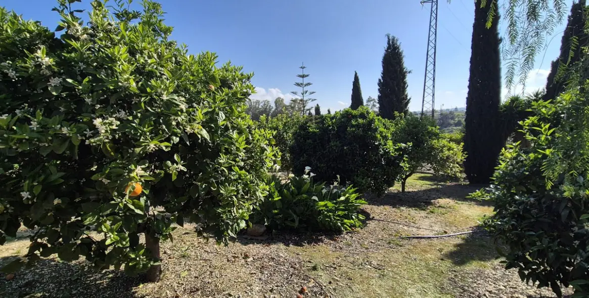 Venta de finca - cortijo en Alhaurín el Grande 53