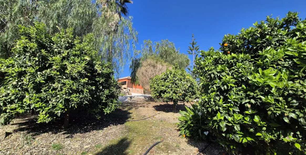 Venta de finca - cortijo en Alhaurín el Grande 54