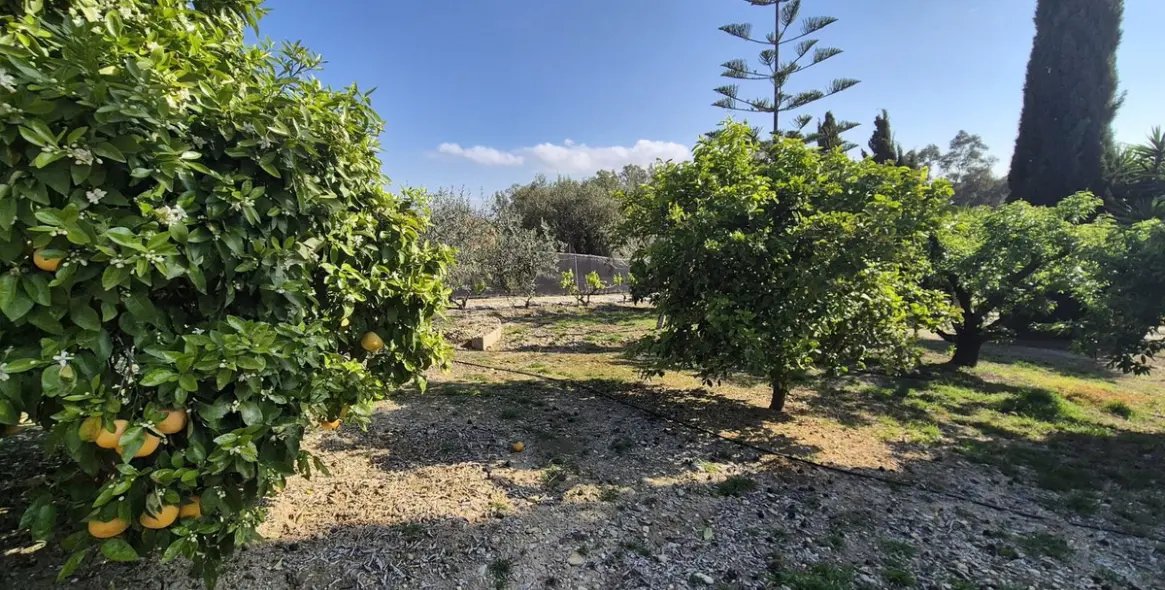 Venta de finca - cortijo en Alhaurín el Grande 55