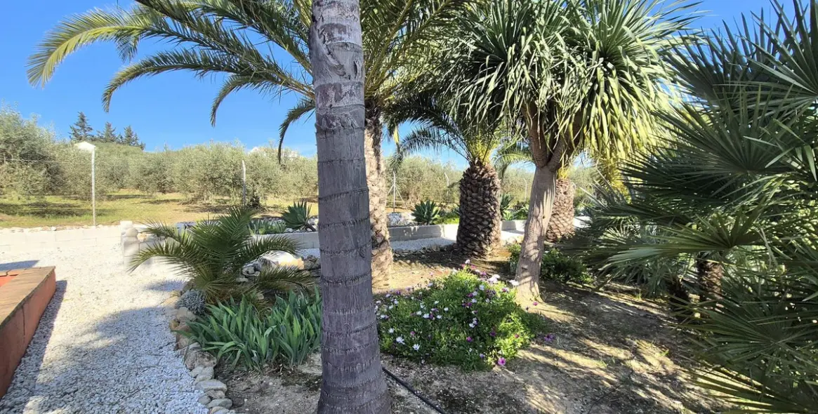 Venta de finca - cortijo en Alhaurín el Grande 56