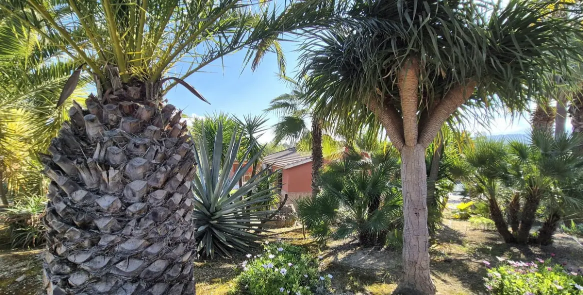 Venta de finca - cortijo en Alhaurín el Grande 57