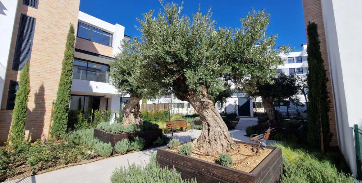 Sale of ground floor apartment in Estepona 21