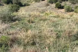 Image 1 thumb