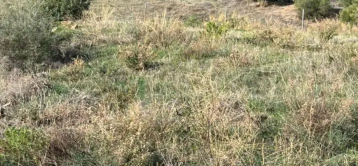 Sale of residential plot in Bel Air 0