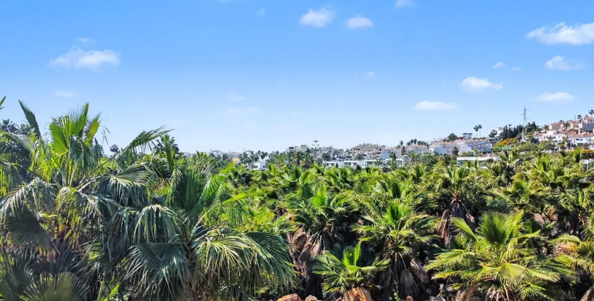 Venta de parcela comercial en Estepona 4