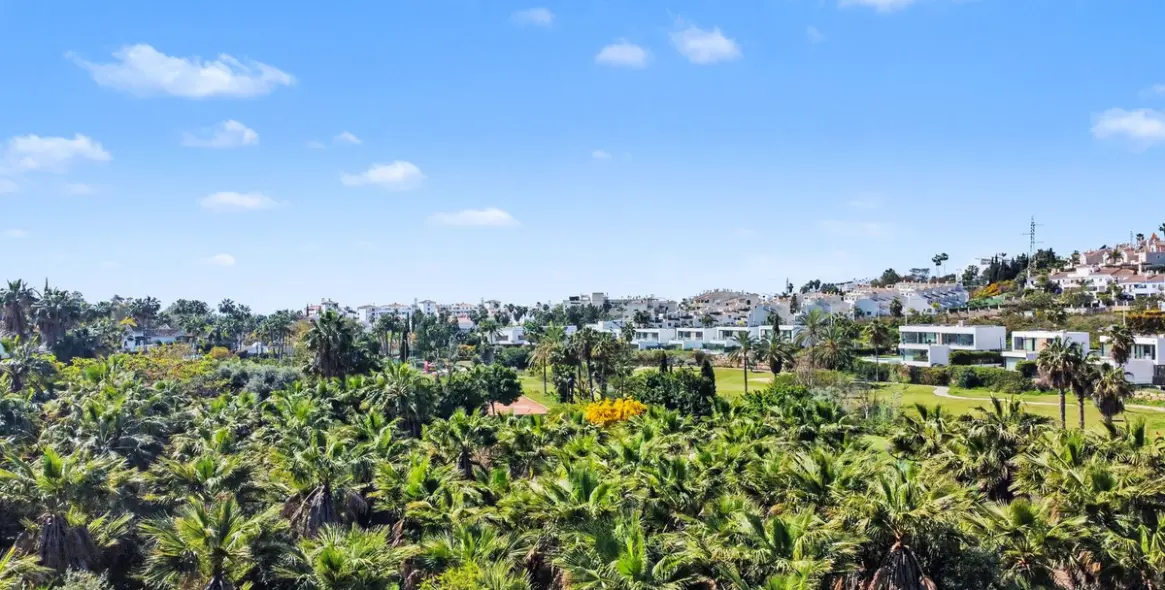 Venta de parcela comercial en Estepona 11