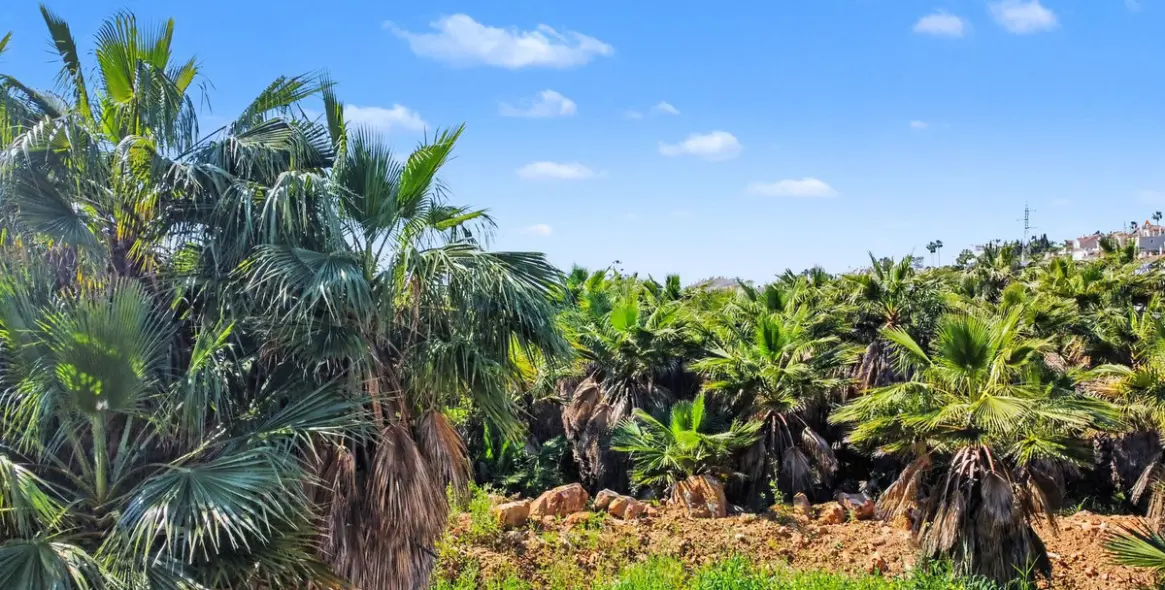 Venta de parcela comercial en Estepona 12