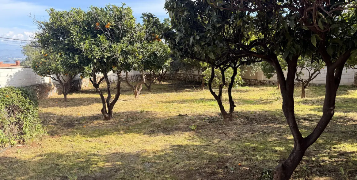 Sale of detached villa in Alhaurín de la Torre 8