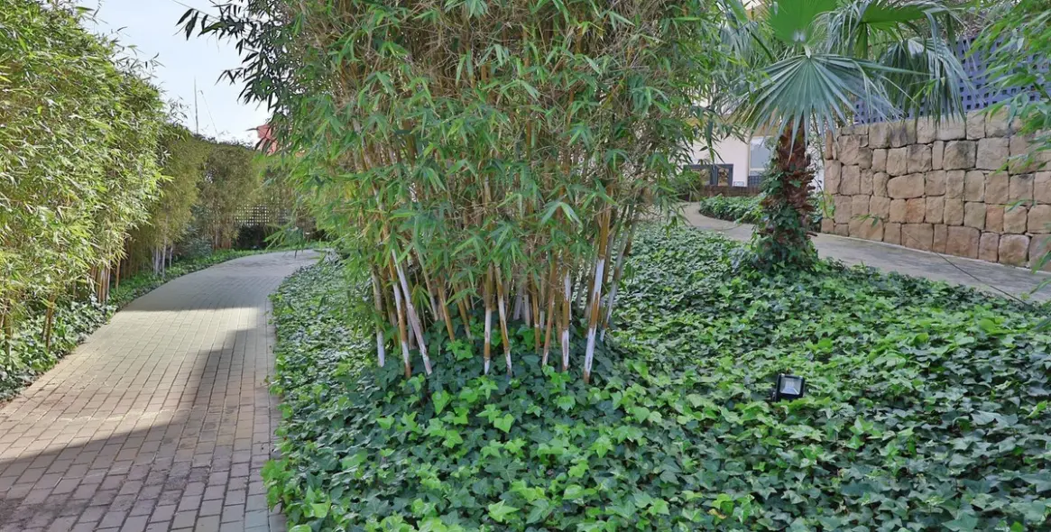 Sale of ground floor apartment in Mijas 62