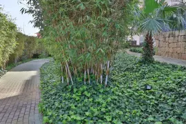 Image 50 thumb