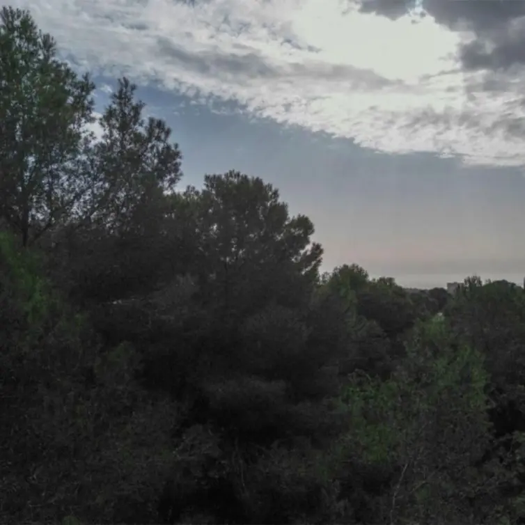 Sale of residential plot in Elviria