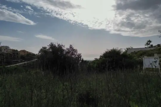 Image 8 thumb