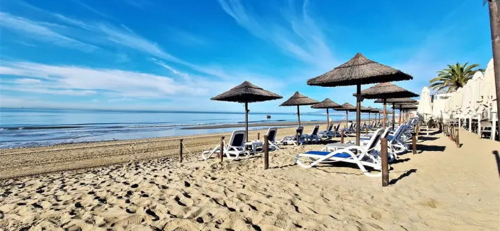 Продажа апартаментов на первом этаже в El Rosario 0