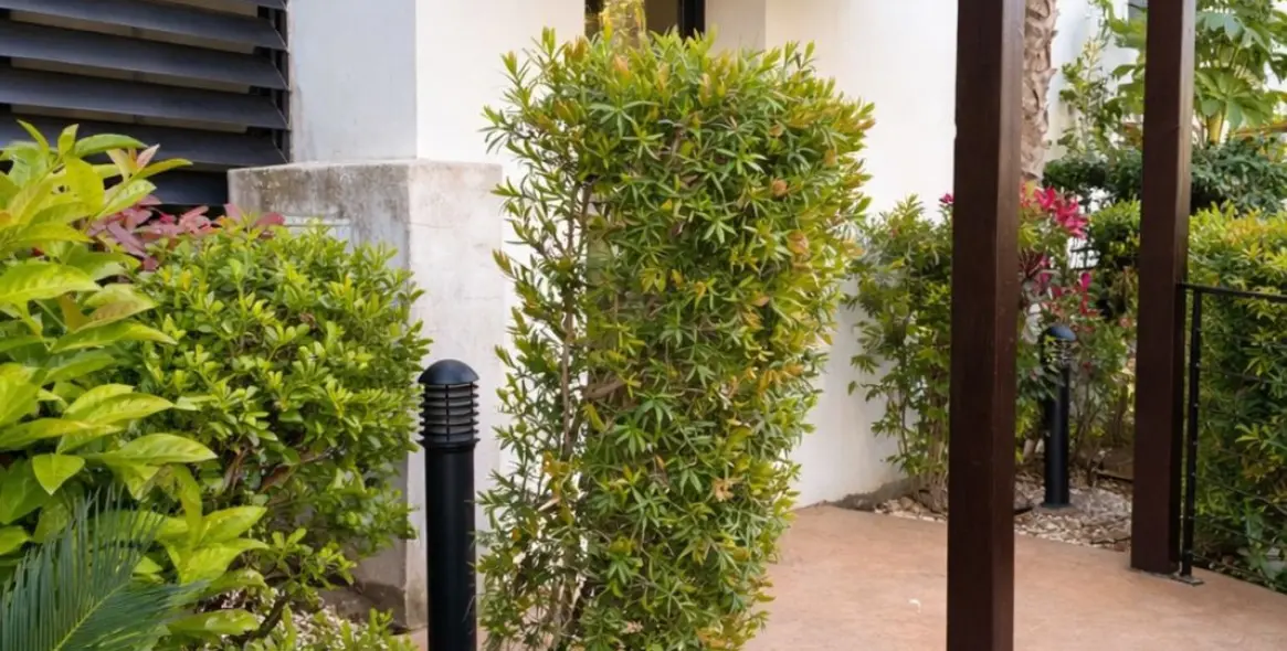 Продажа апартаментов на среднем этаже в Estepona 15