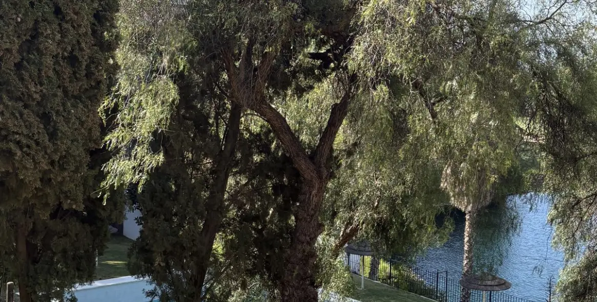 Sale of middle floor apartment in La Quinta 16