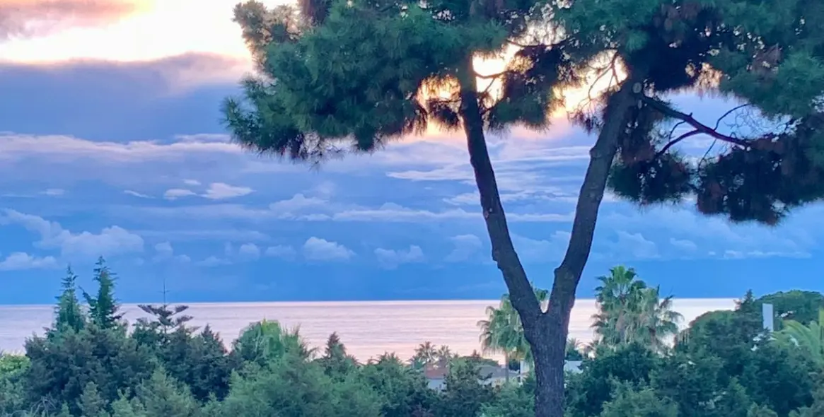 Venta de parcela residencial en Marbesa 5