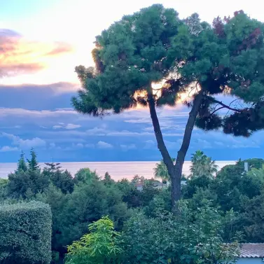 Venta de parcela residencial en Marbesa