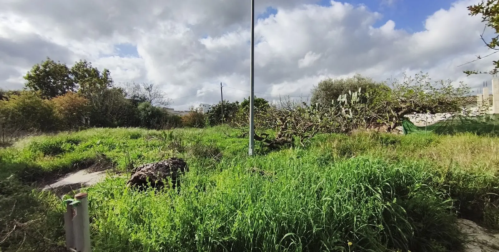 Sale of commercial plot in Coín 5