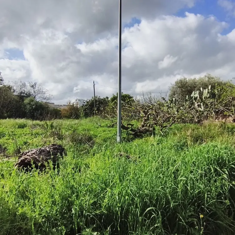 Sale of commercial plot in Coín