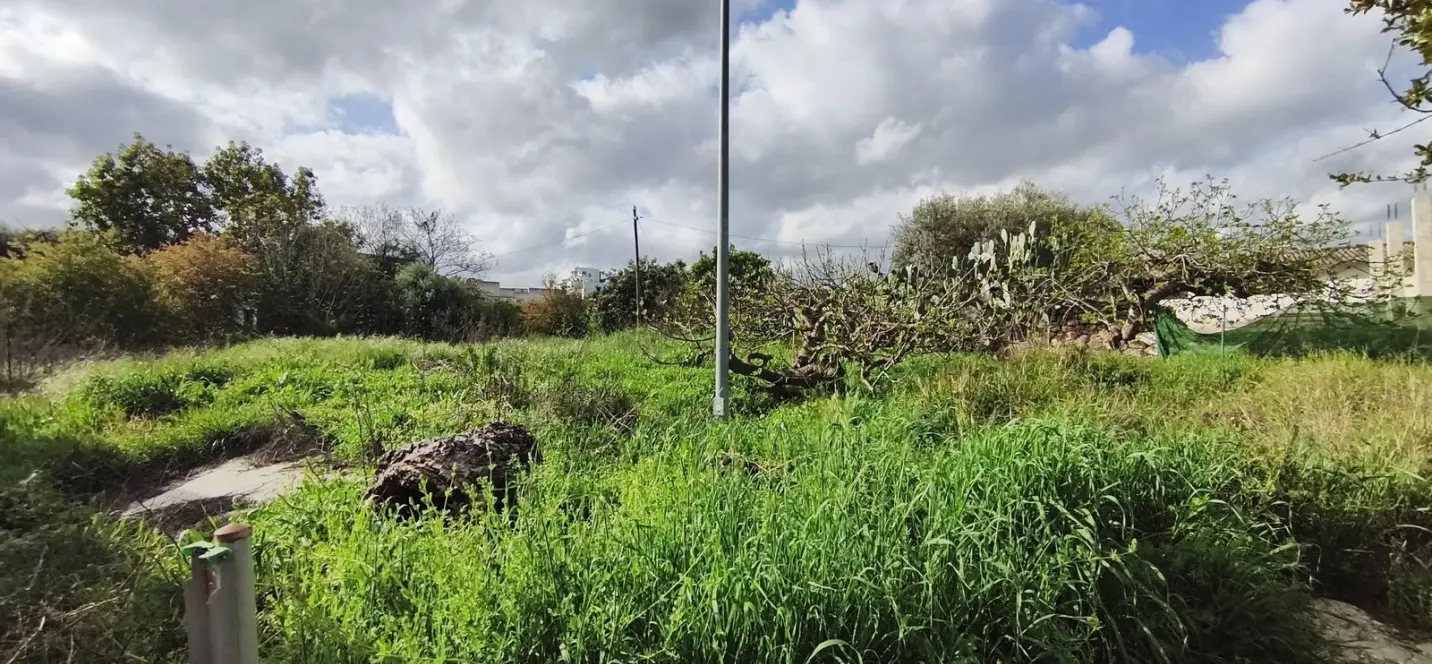 Sale of commercial plot in Coín 4