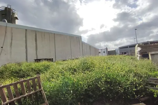 Image 6 thumb