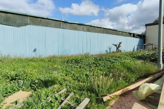 Image 4 thumb