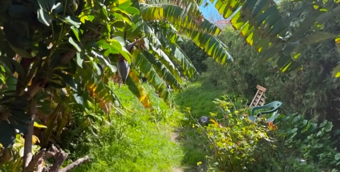 Продажа таунхауса в Estepona 6