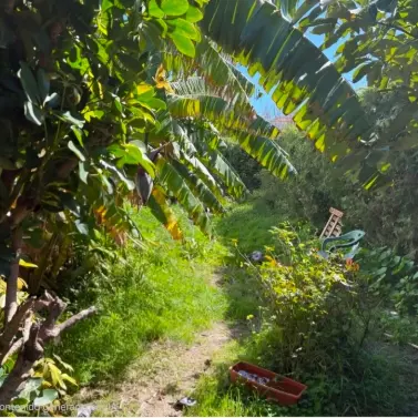 Продажа таунхауса в Estepona