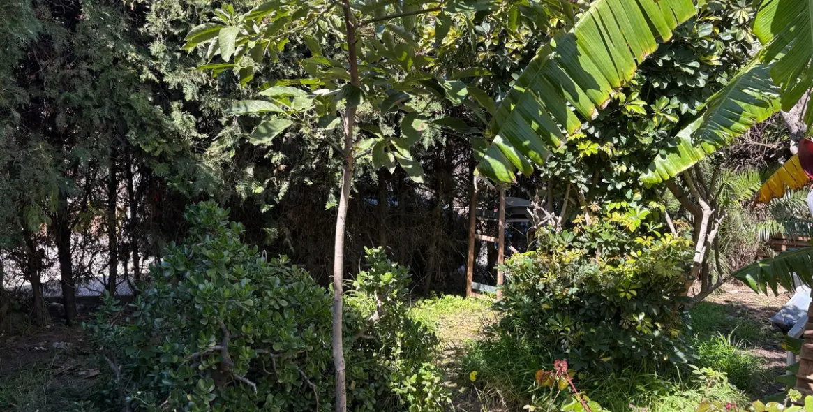 Продажа таунхауса в Estepona 8