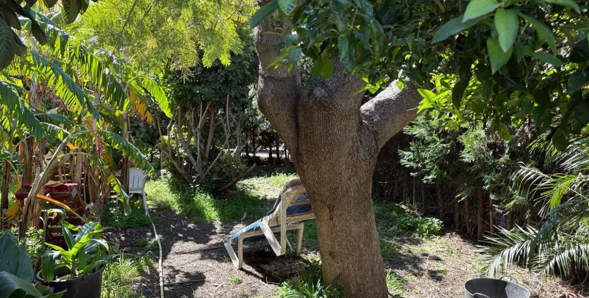 Продажа таунхауса в Estepona 9