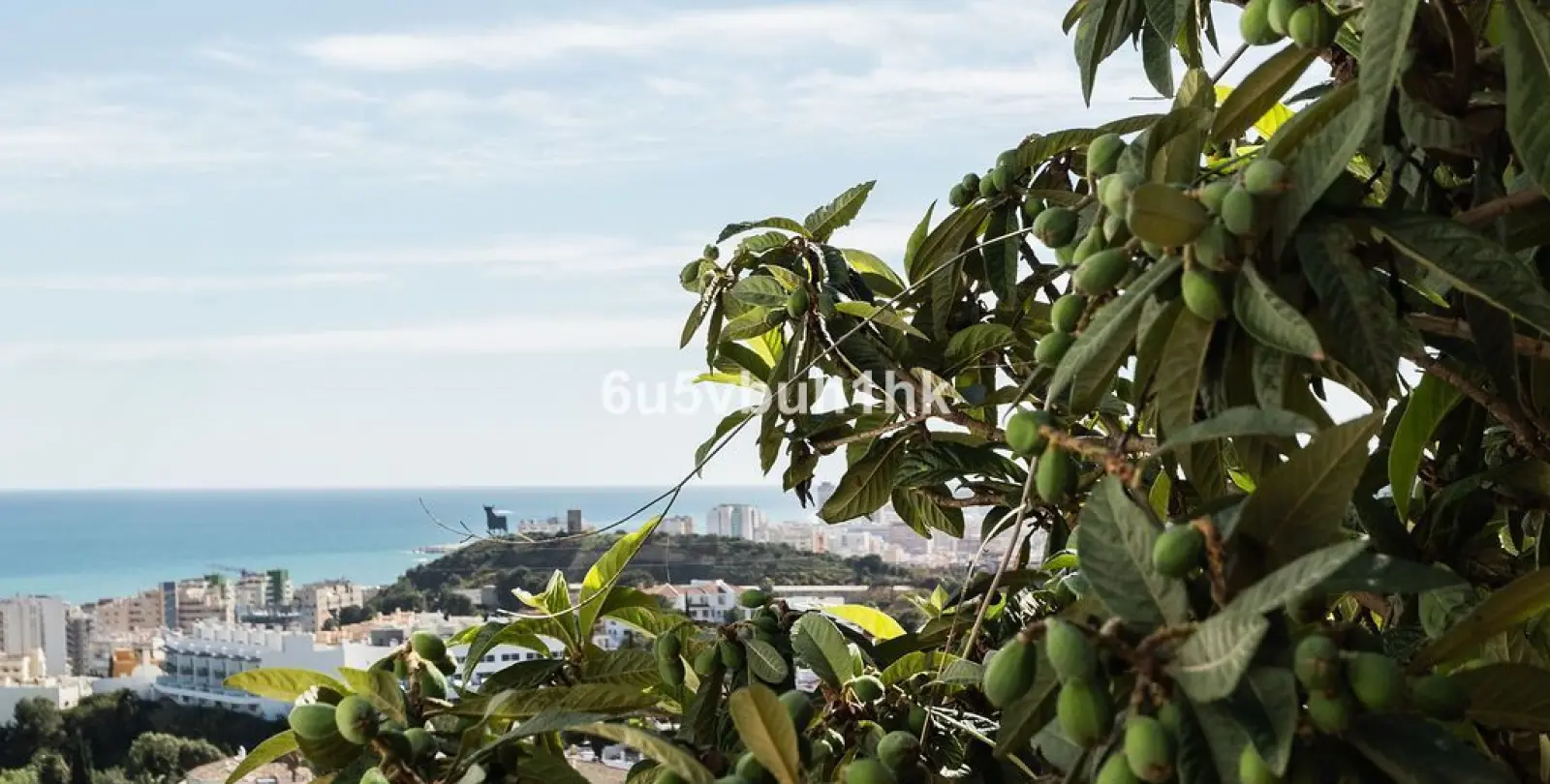 Sale of detached villa in Torreblanca 42