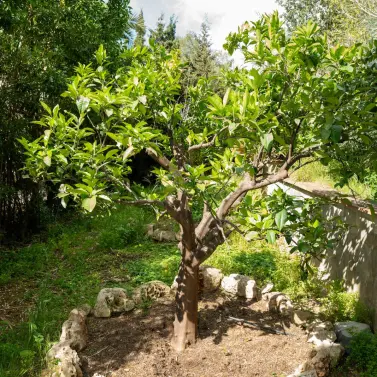 Venta de villa independiente en Elviria