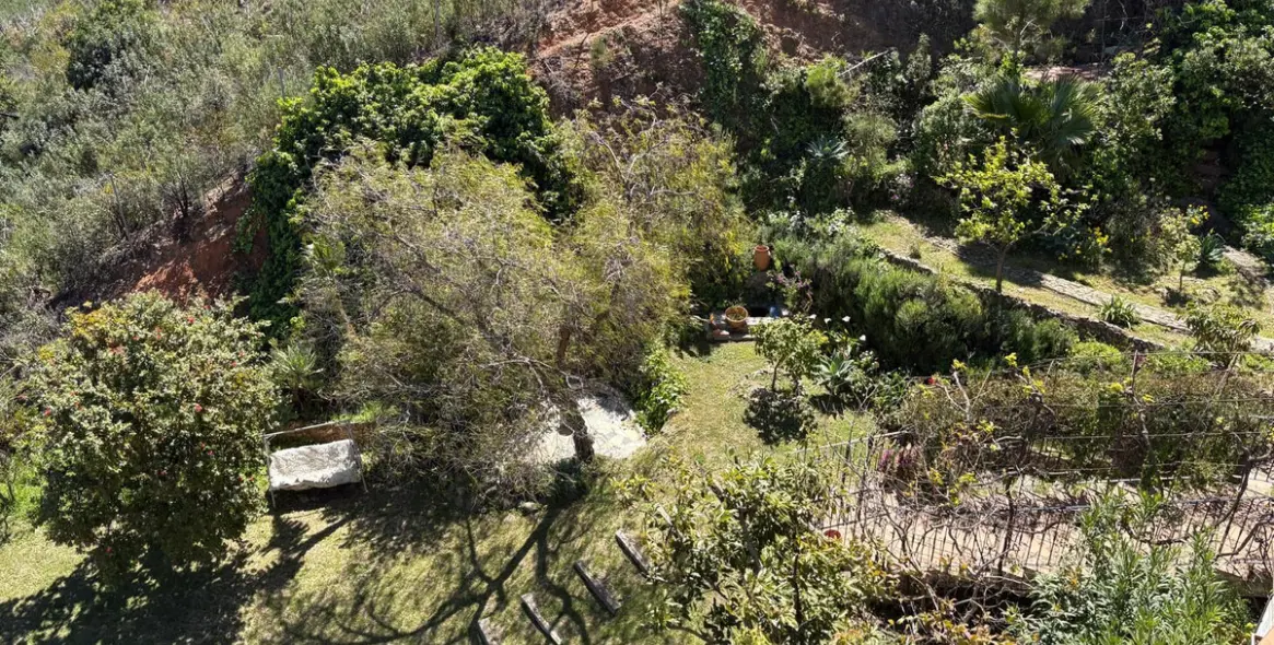 Venta de finca - cortijo en Estepona 35