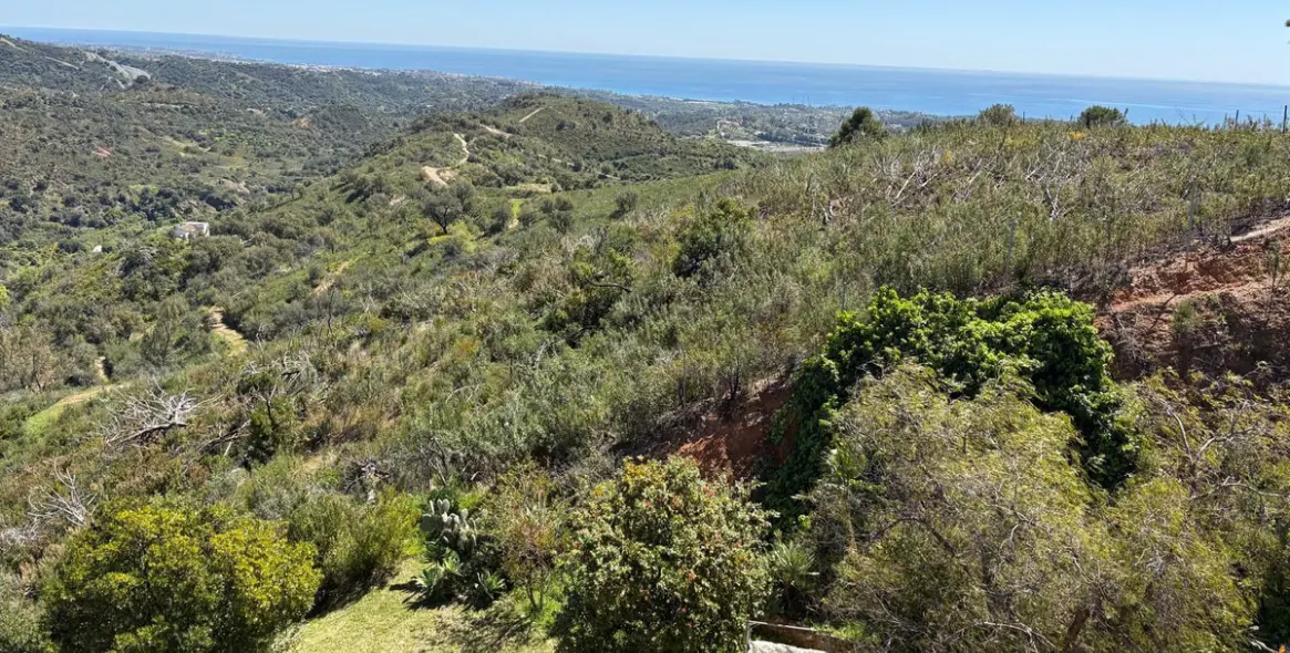 Venta de finca - cortijo en Estepona 42