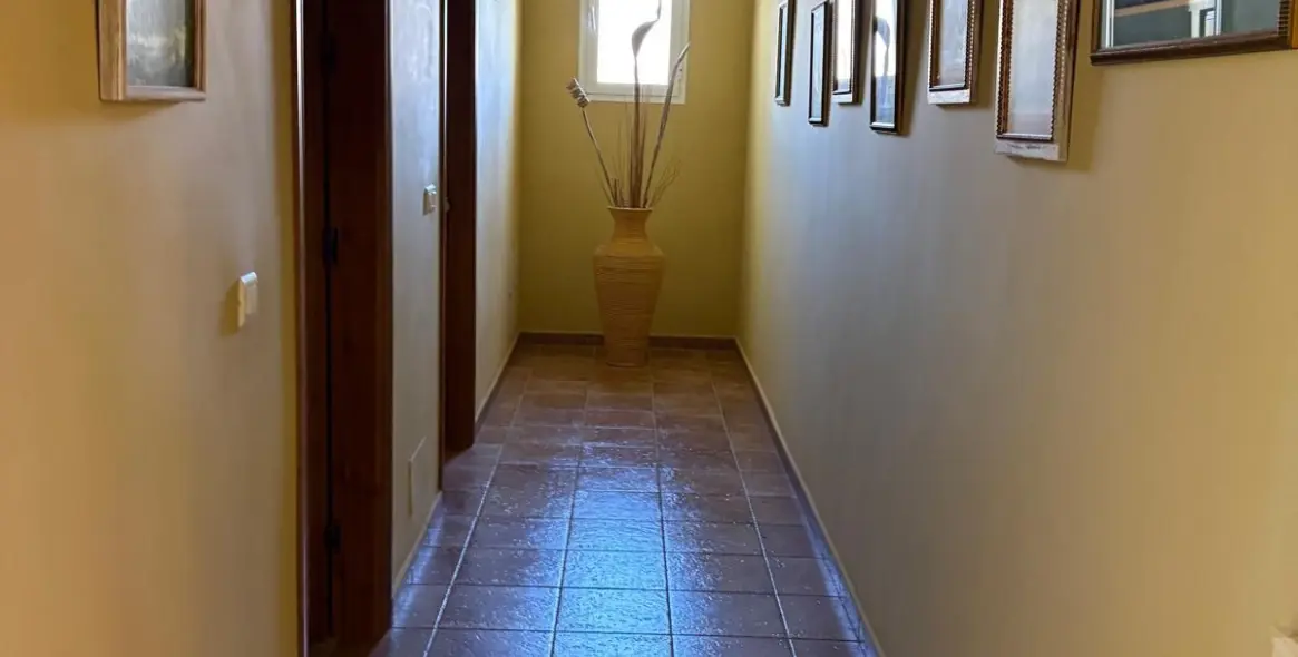 Venta de finca - cortijo en Estepona 45