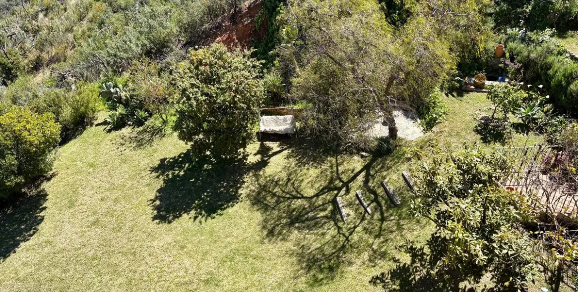 Venta de finca - cortijo en Estepona 92