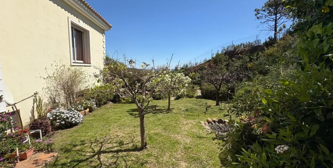 Venta de finca - cortijo en Estepona 99