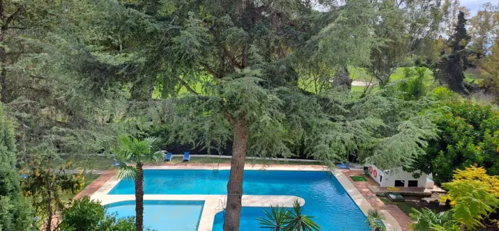 Alquiler a corto plazo de ático en Nueva Andalucía 0