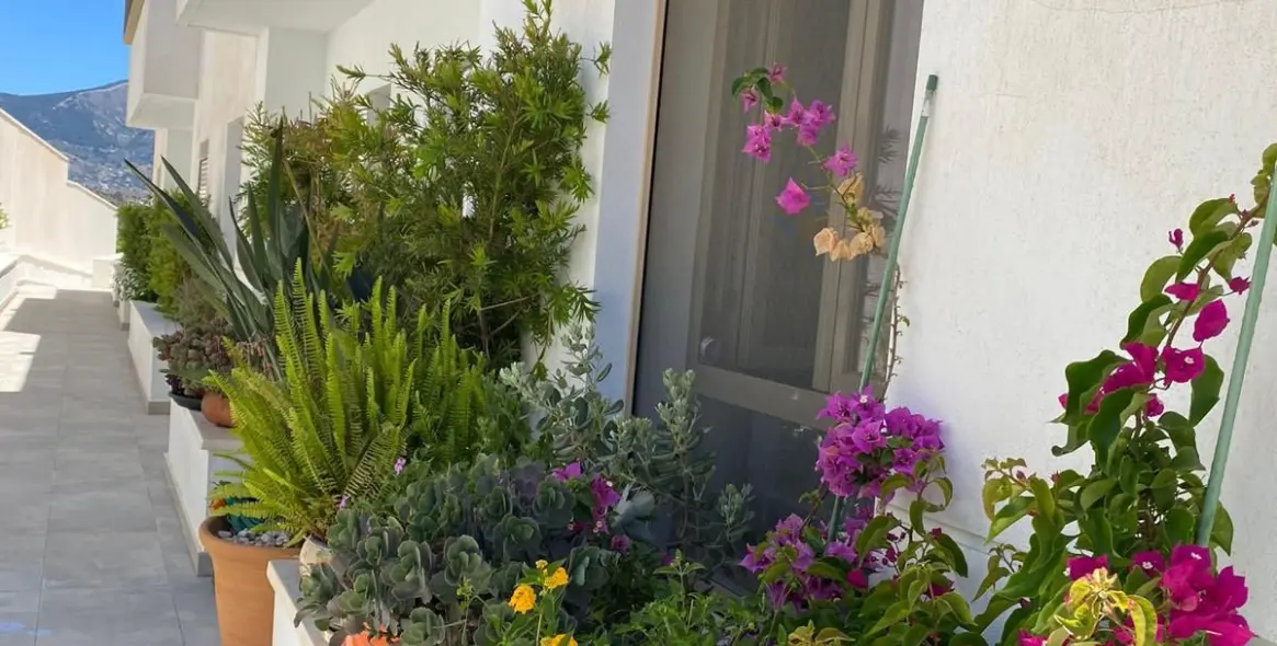 Alquiler a largo plazo de adosado en Mijas 1