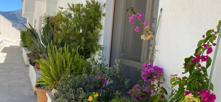 Долгосрочная аренда таунхауса в Mijas 0