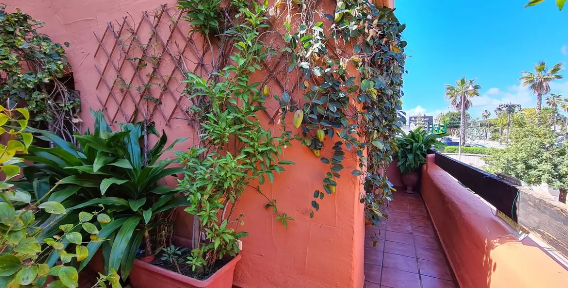Sale of middle floor apartment in Estepona 10