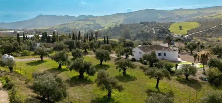 Venta de finca - cortijo en Casarabonela 1